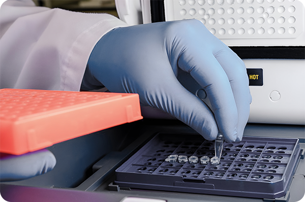 Loading DNA PCR app note image