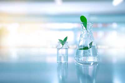 green-laboratory