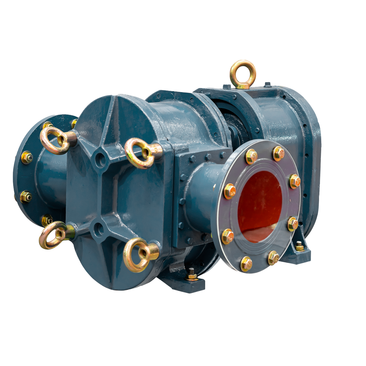 Positive Displacement Gear Type Pump   