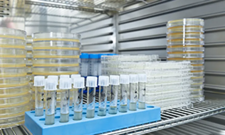 medical-storage-chambers
