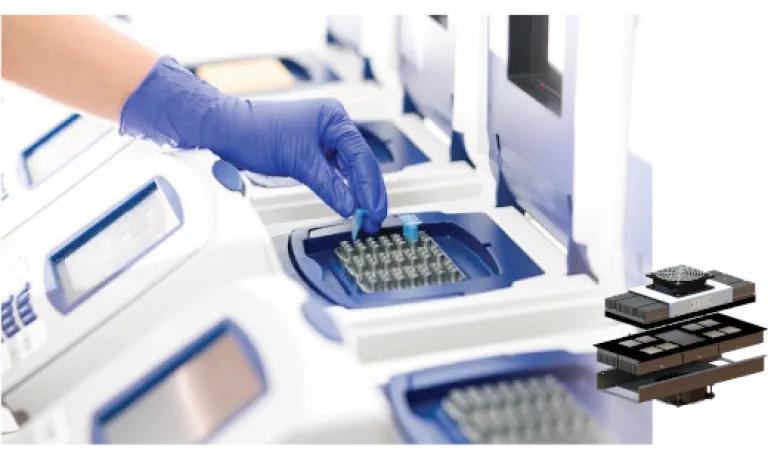 Custom TEAs PCR Molecular Diagnostics