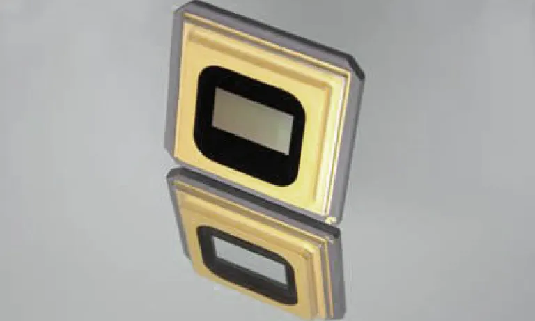 digital light processor